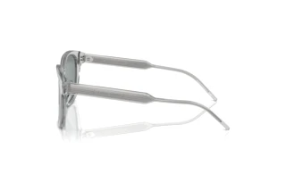 Sidevisning Giorgio Armani AR8210U (608056)