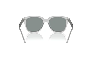 Bagside Giorgio Armani AR8210U (608056)