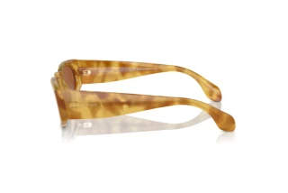 Sidevisning Giorgio Armani AR8216 (597973)