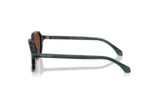 Sidevisning Giorgio Armani AR8220 (6171C5)