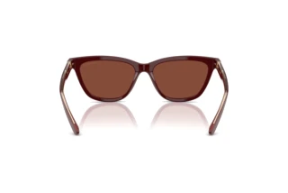 Bagside Giorgio Armani AR8221 (5955C5)