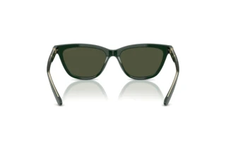 Bagside Giorgio Armani AR8221 (617331)