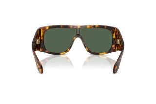 Bagside Giorgio Armani AR8222U (509271)