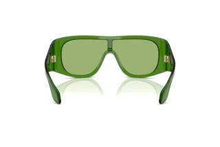 Bagside Giorgio Armani AR8222U (6191/2)