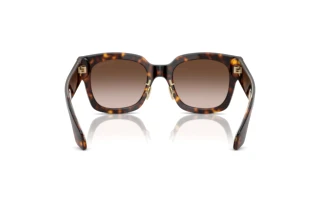 Bagside Giorgio Armani AR8223 (502613)