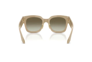 Bagside Giorgio Armani AR8223 (61618E)