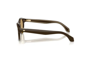 Sidevisning Giorgio Armani AR8225 (619473)