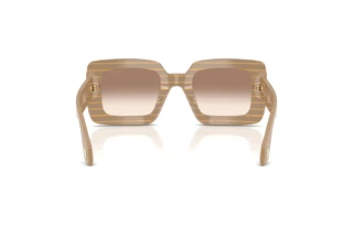 Bagside Giorgio Armani AR8241U (631094)