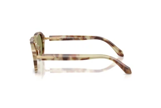 Sidevisning Giorgio Armani AR8244 (629914)