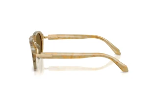 Sidevisning Giorgio Armani AR8244 (630073)