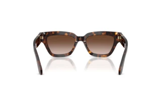 Bagside Giorgio Armani AR8246U (587913)