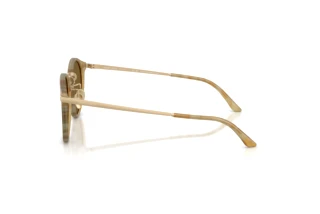 Sidevisning Giorgio Armani AR8250 (630073)