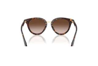 Bagside Giorgio Armani AR8252U (612413)