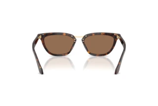 Bagside Giorgio Armani AR8253U (612473)