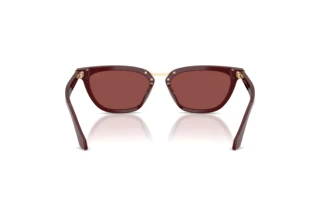 Bagside Giorgio Armani AR8253U (639775)