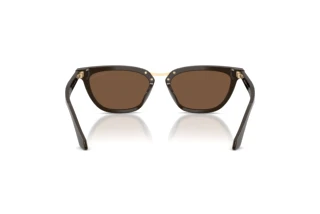 Bagside Giorgio Armani AR8253U (639873)