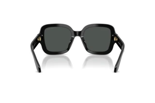 Bagside Giorgio Armani AR8268U (587587)