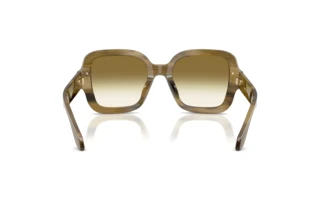 Bagside Giorgio Armani AR8268U (64808E)