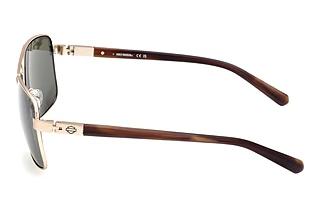 Sidevisning Harley-Davidson HD00018 (32N)