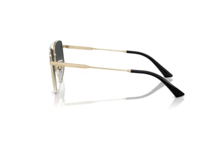 Sidevisning Jimmy Choo JC4011 (3006T3)