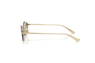 Sidevisning Jimmy Choo JC4020B (30066G)
