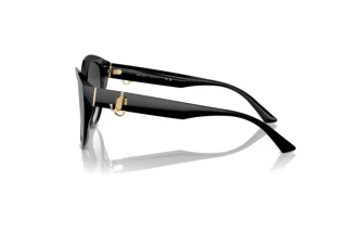 Sidevisning Jimmy Choo JC5007 (50008G)