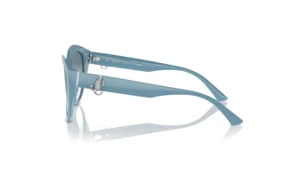 Sidevisning Jimmy Choo JC5007 (501219)