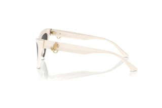 Sidevisning Jimmy Choo JC5008 (500887)