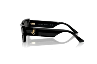 Sidevisning Jimmy Choo JC5009 (500087)