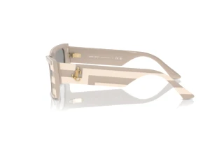 Sidevisning Jimmy Choo JC5009 (5030/1)