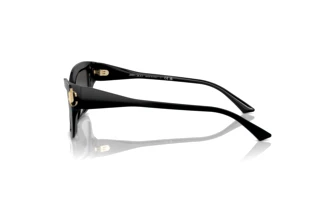 Sidevisning Jimmy Choo JC5011U (500087)