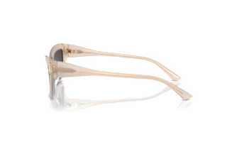 Sidevisning Jimmy Choo JC5011U (502587)