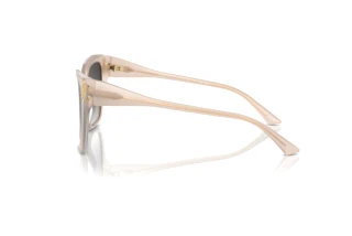 Sidevisning Jimmy Choo JC5012 (50258G)