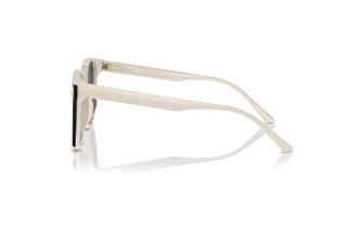 Sidevisning Jimmy Choo JC5016D (500887)