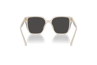 Bagside Jimmy Choo JC5016D (500887)