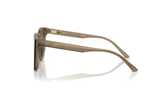 Sidevisning Jimmy Choo JC5016D (505173)