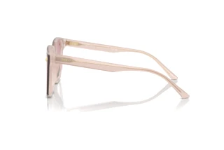 Sidevisning Jimmy Choo JC5016D (505268)