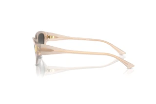 Sidevisning Jimmy Choo JC5019 (50258G)