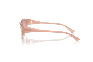Sidevisning Jimmy Choo JC5019 (502768)
