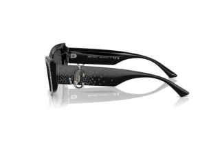 Sidevisning Jimmy Choo JC5020B (501787)