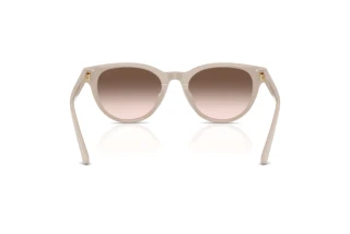 Bagside Jimmy Choo JC5043D (50333B)