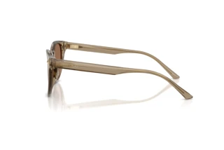 Sidevisning Jimmy Choo JC5043D (505173)