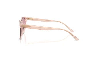 Sidevisning Jimmy Choo JC5043D (505268)
