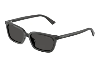 Forfra Jimmy Choo JC5050U (512287)