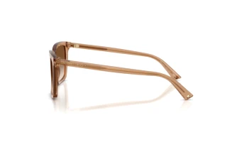 Sidevisning Jimmy Choo JC5051 (507613)