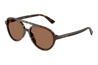 Forfra Jimmy Choo JC5055U (500273)