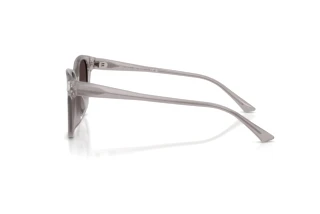 Sidevisning Jimmy Choo JC5057D (50968G)