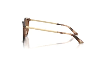Sidevisning Jimmy Choo JC5060 (509773)