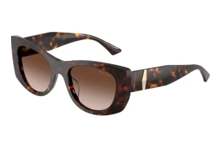 Forfra Jimmy Choo JC5066U (500213)