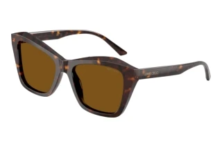 Forfra Jimmy Choo JC5076 (500283)